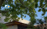 Casa en Venta-Viamonte 479  - Miniatura 1